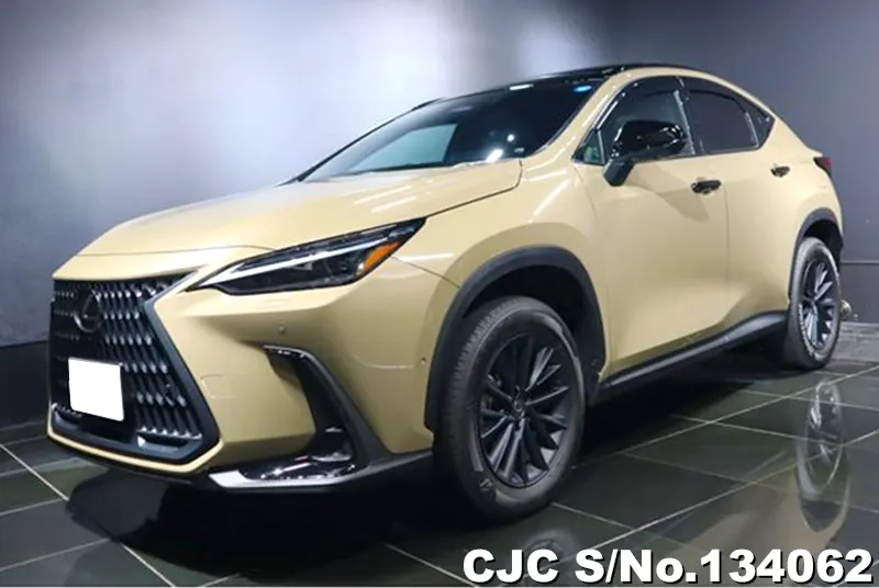 2025 Lexus / NX 350H Stock No. 134062
