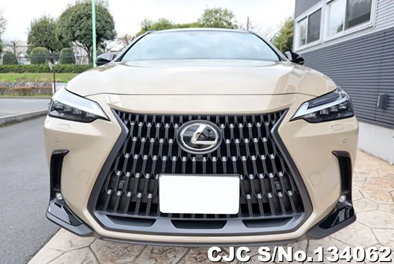 2025 Lexus / NX 350H Stock No. 134062