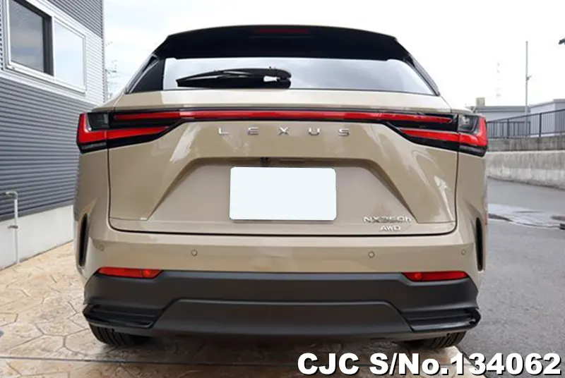 2025 Lexus / NX 350H Stock No. 134062