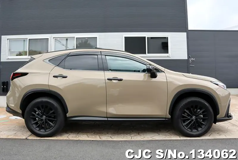 2025 Lexus / NX 350H Stock No. 134062
