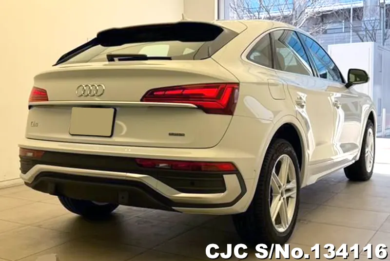 2025 Audi / Q5 Stock No. 134116