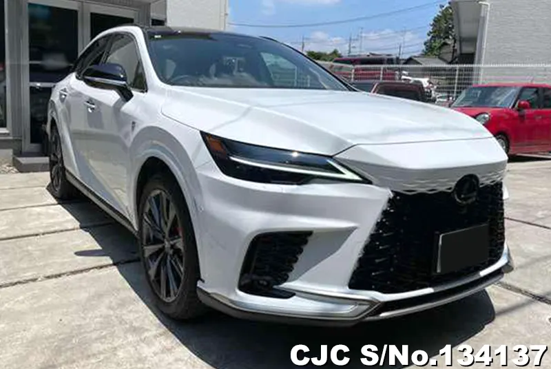 2025 Lexus / RX 350 Stock No. 134137