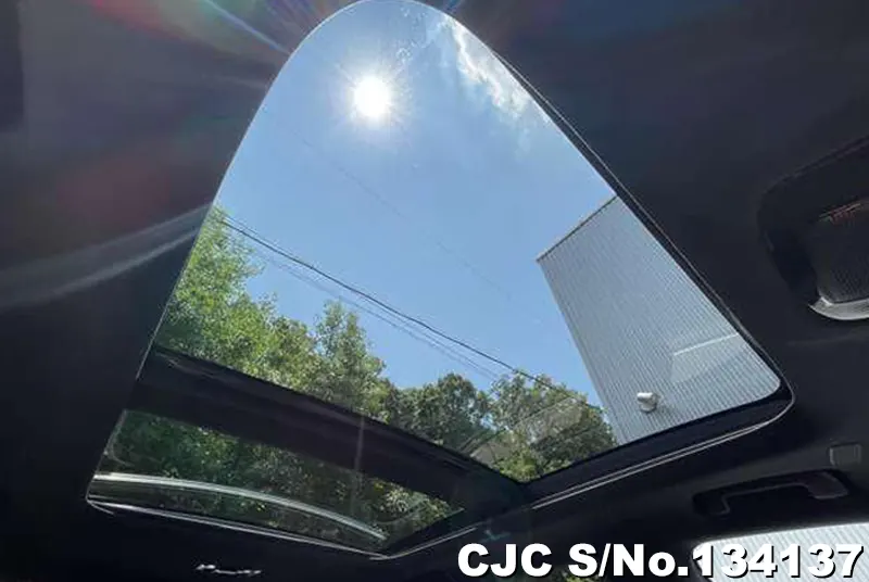 2025 Lexus / RX 350 Stock No. 134137