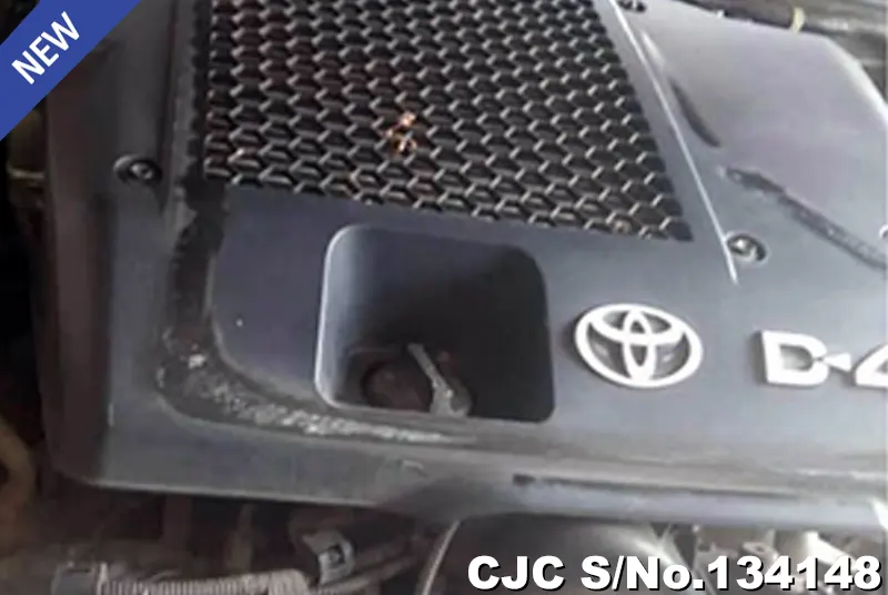 2013 Toyota / Hilux / Vigo Stock No. 134148