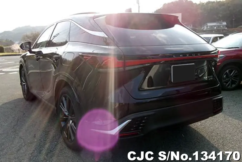 2025 Lexus / RX 350 Stock No. 134170