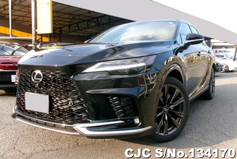 2025 Lexus / RX 350 Stock No. 134170