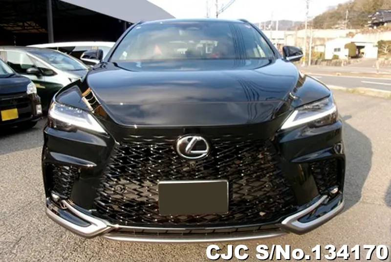 2025 Lexus / RX 350 Stock No. 134170