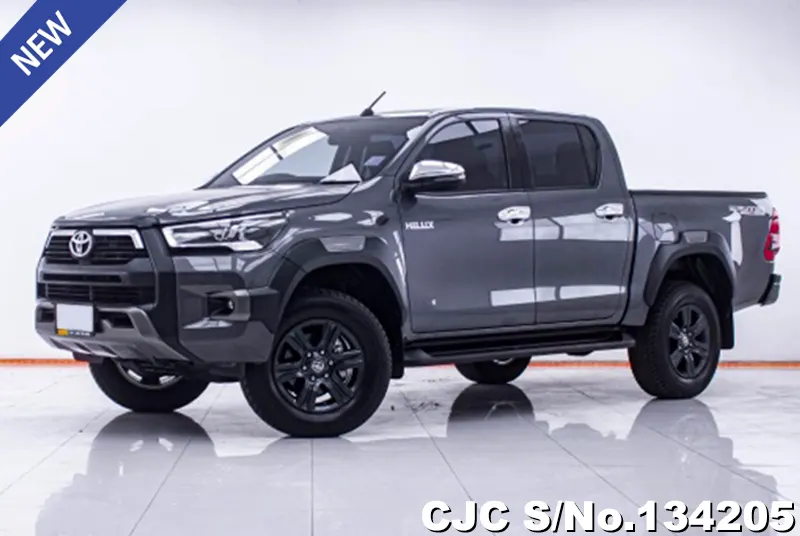2023 Toyota / Hilux / Revo Stock No. 134205