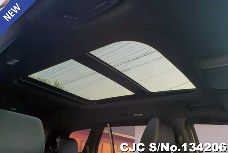 2021 Ford / Everest Stock No. 134206