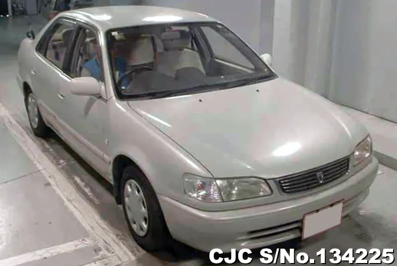 1999 Toyota / Corolla Stock No. 134225