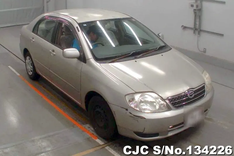 2002 Toyota / Corolla Stock No. 134226
