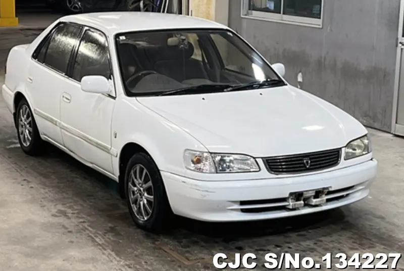 1997 Toyota / Corolla Stock No. 134227