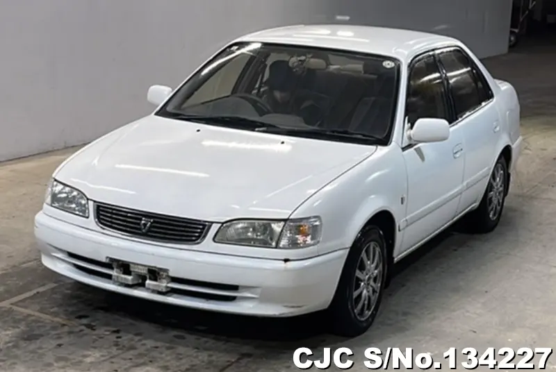 1997 Toyota / Corolla Stock No. 134227