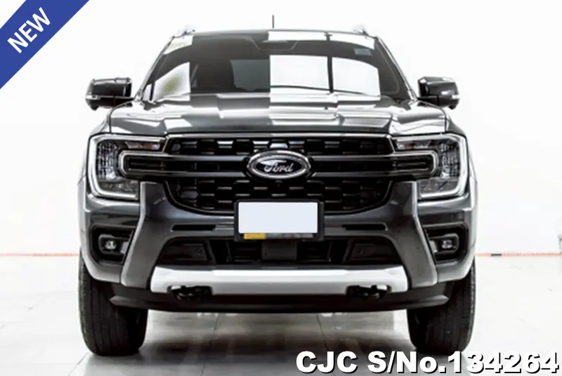 Ford Ranger in Gray for Sale Image 2