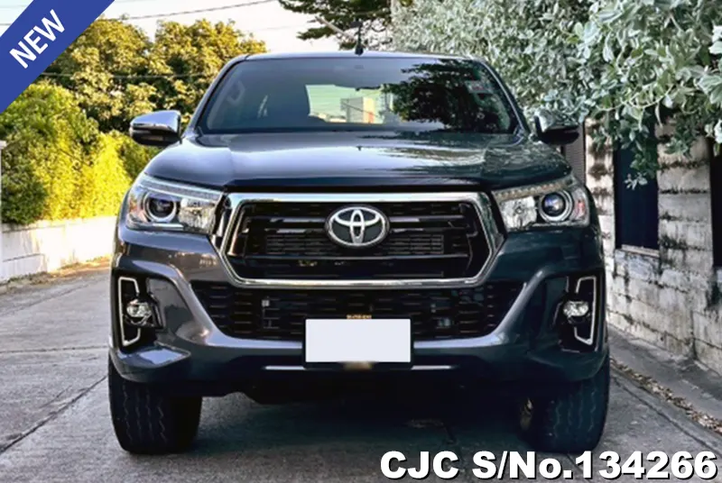 2019 Toyota / Hilux / Revo Stock No. 134266
