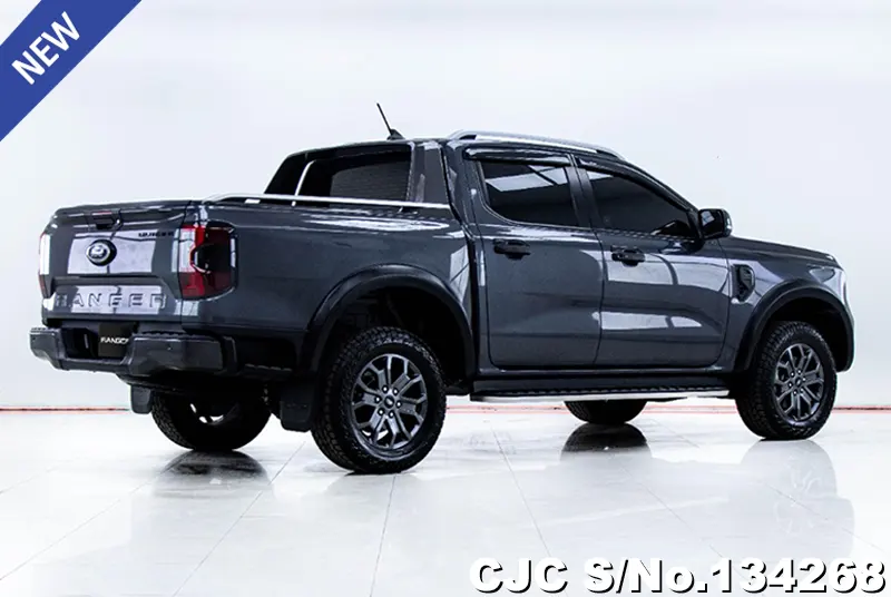 Ford Ranger in Gray for Sale Image 1