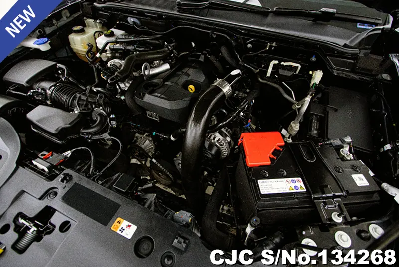 2023 Ford / Ranger Stock No. 134268