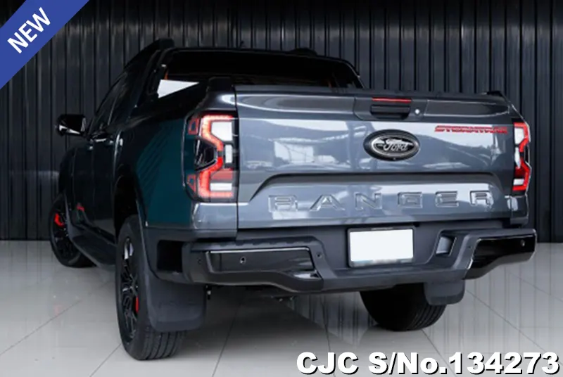 Ford Ranger in Gray for Sale Image 1