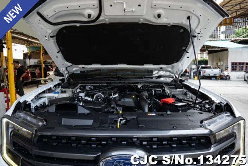 Ford Ranger in White for Sale Image 13