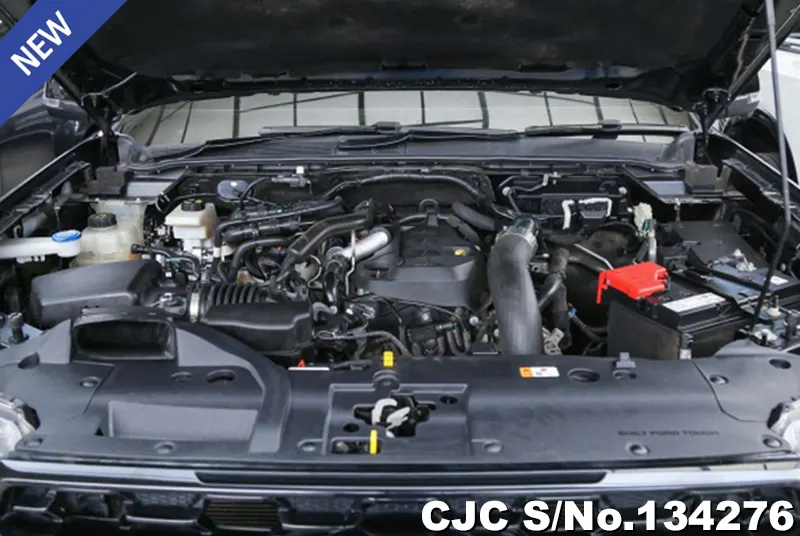 2023 Ford / Ranger Stock No. 134276