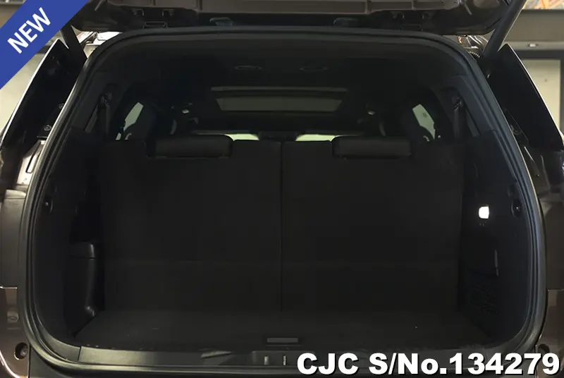 2023 Ford / Everest Stock No. 134279