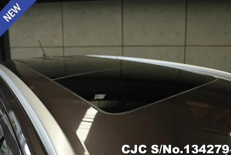 2023 Ford / Everest Stock No. 134279