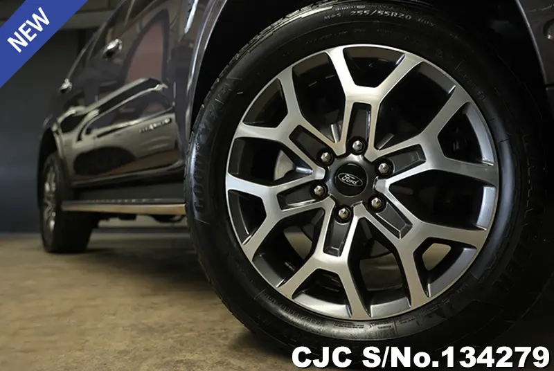 2023 Ford / Everest Stock No. 134279