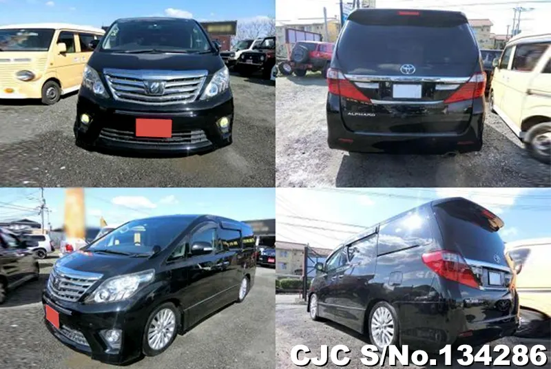 2012 Toyota / Alphard Stock No. 134286