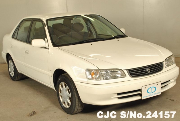 1999 Toyota / Corolla Stock No. 24157