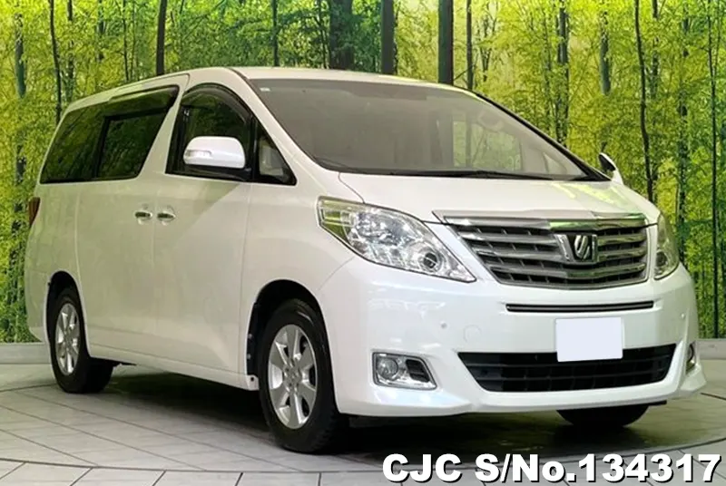 2013 Toyota / Alphard Stock No. 134317
