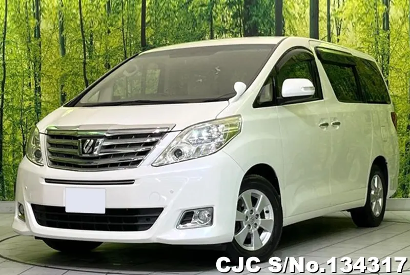 2013 Toyota / Alphard Stock No. 134317