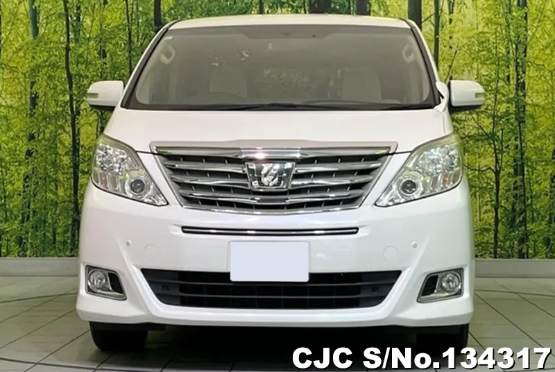 2013 Toyota / Alphard Stock No. 134317