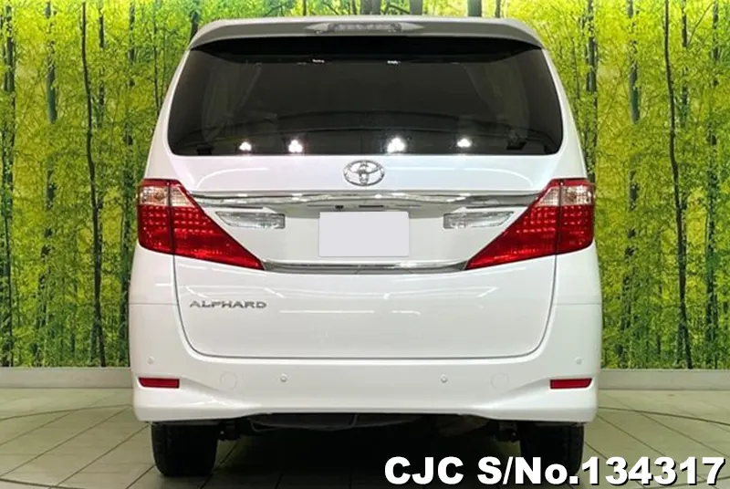 2013 Toyota / Alphard Stock No. 134317