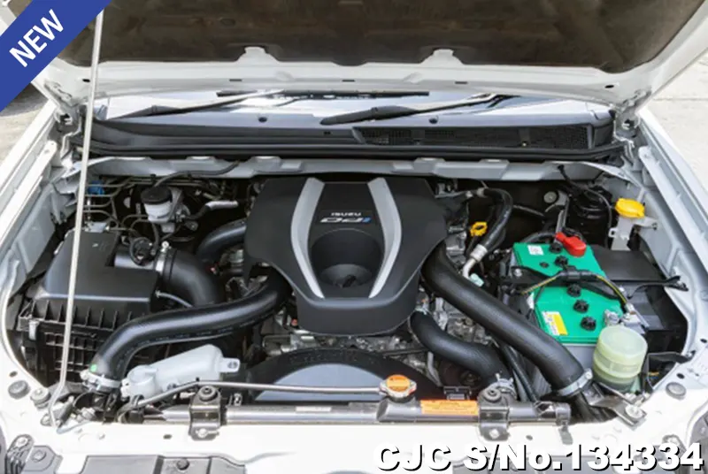 Isuzu D-Max in White for Sale Image 10