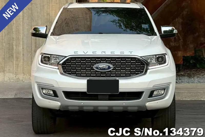 2021 Ford / Everest Stock No. 134379