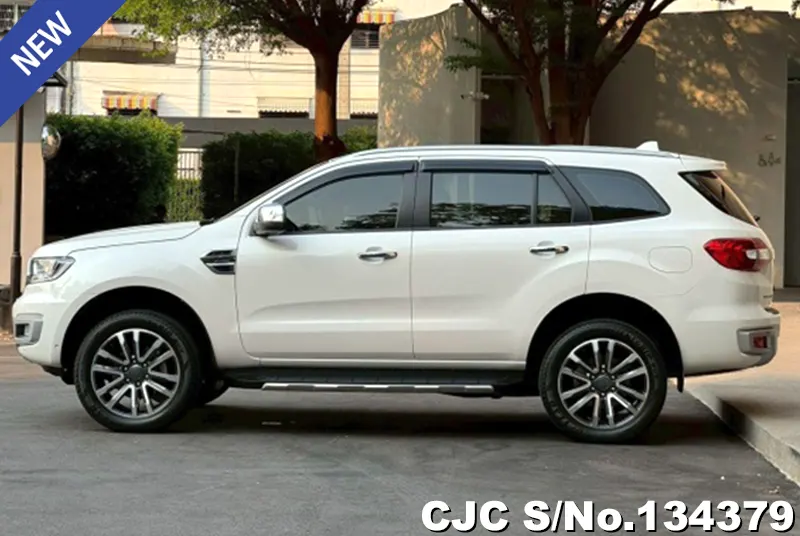 2021 Ford / Everest Stock No. 134379