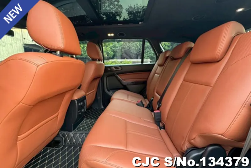 2021 Ford / Everest Stock No. 134379