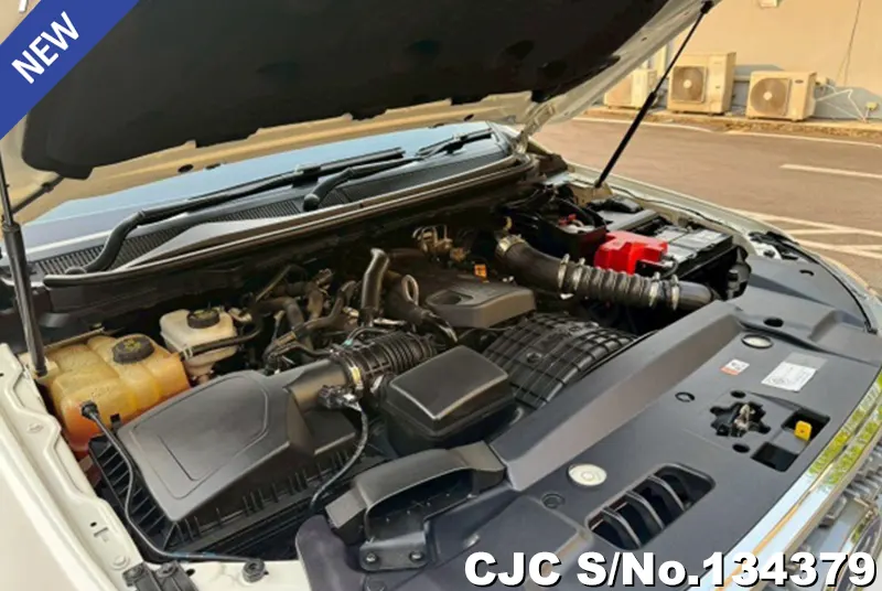 2021 Ford / Everest Stock No. 134379