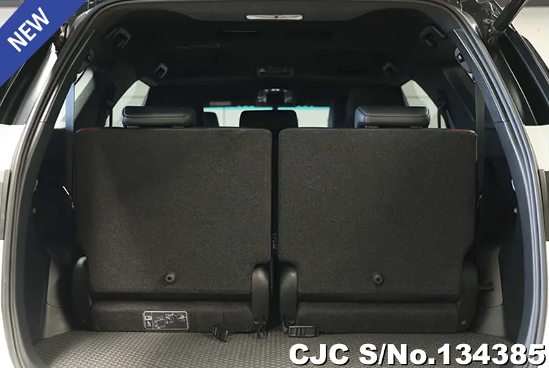 2022 Toyota / Fortuner Stock No. 134385