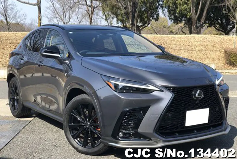 2025 Lexus / NX 350H Stock No. 134402