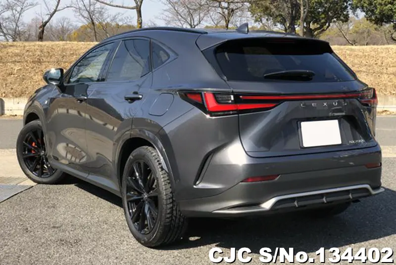 2025 Lexus / NX 350H Stock No. 134402