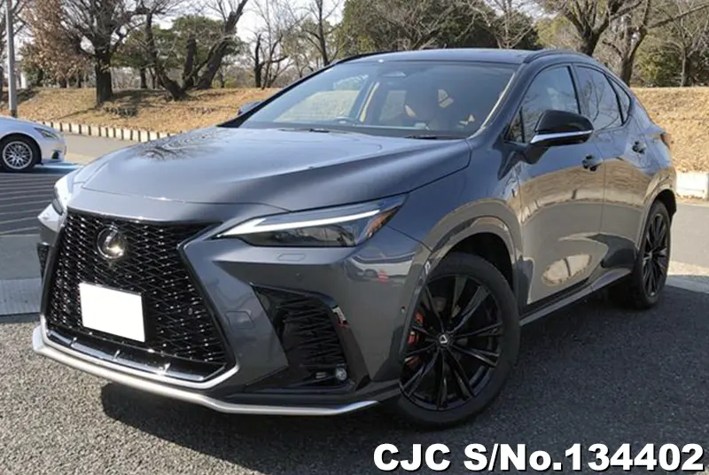 2025 Lexus / NX 350H Stock No. 134402