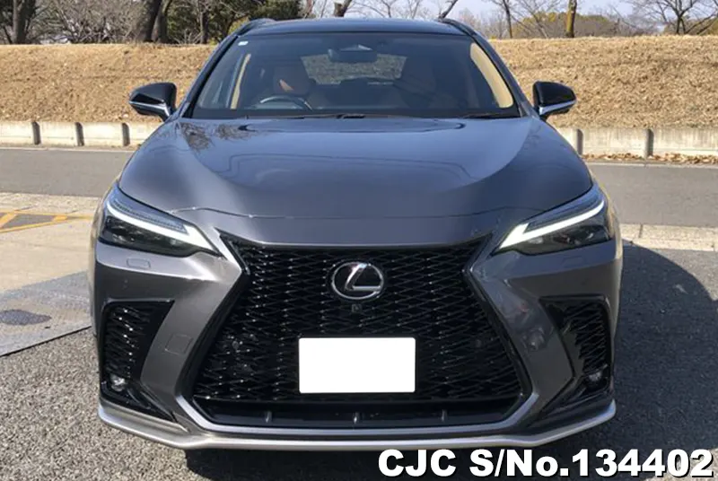 2025 Lexus / NX 350H Stock No. 134402