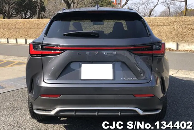 2025 Lexus / NX 350H Stock No. 134402