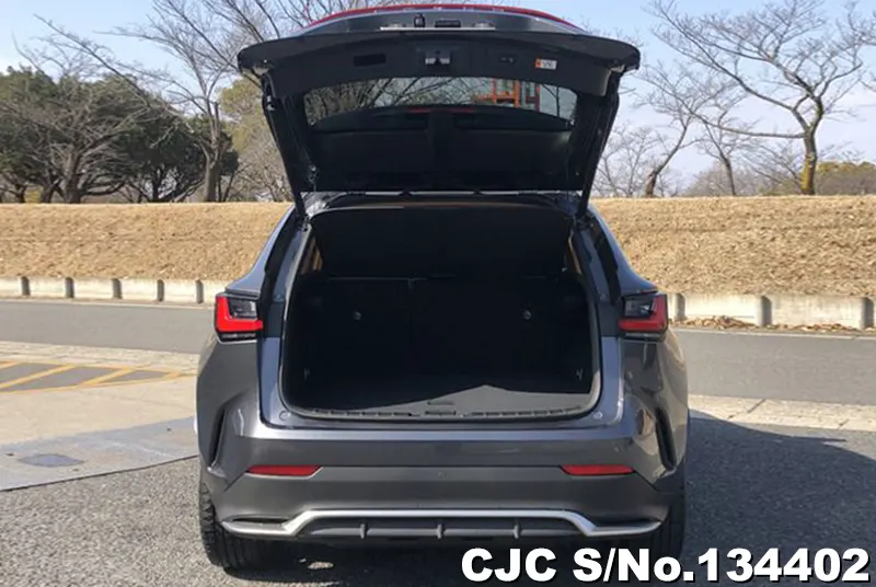 2025 Lexus / NX 350H Stock No. 134402