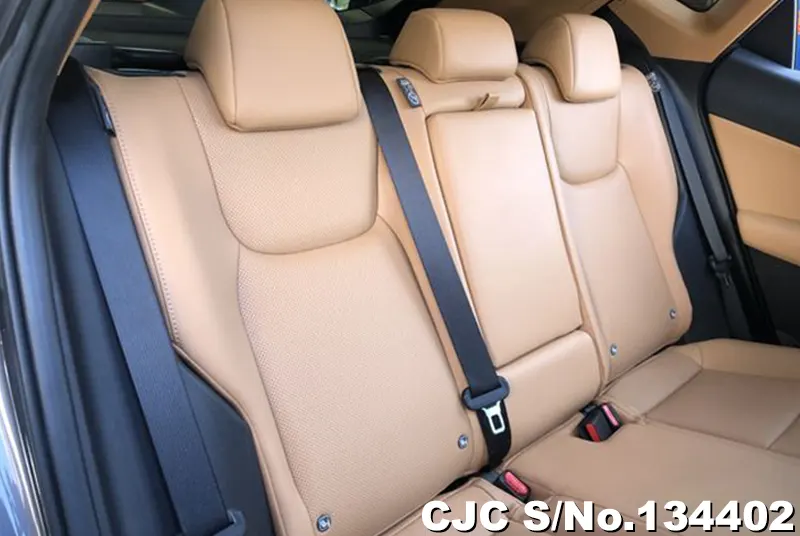 2025 Lexus / NX 350H Stock No. 134402