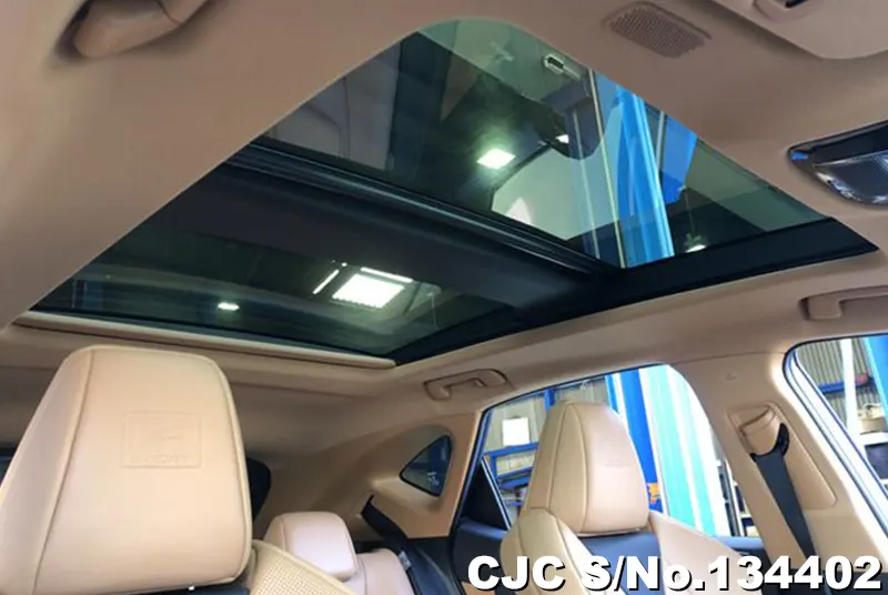 2025 Lexus / NX 350H Stock No. 134402