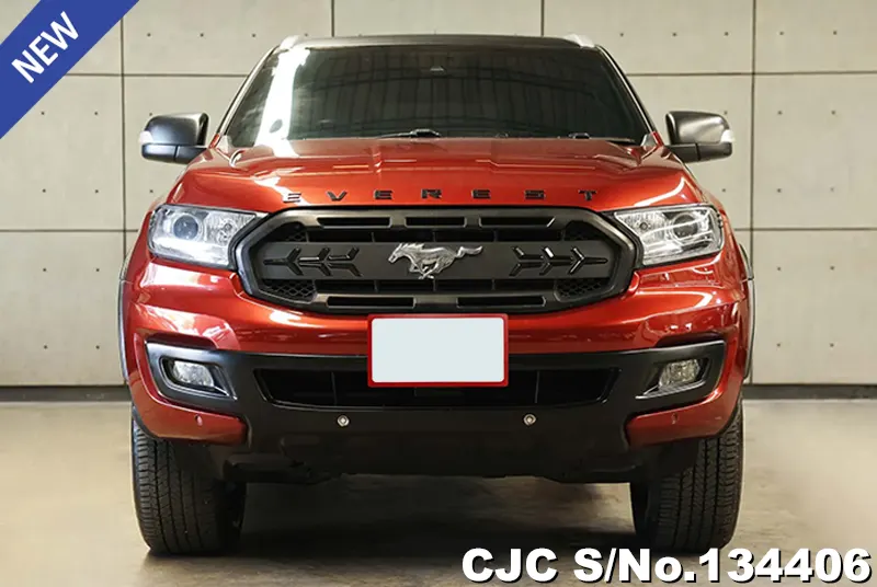2019 Ford / Everest Stock No. 134406