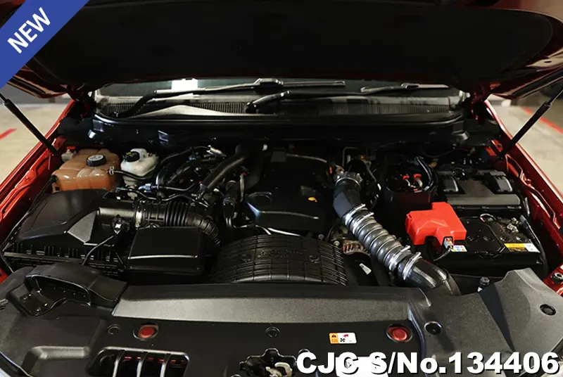 2019 Ford / Everest Stock No. 134406