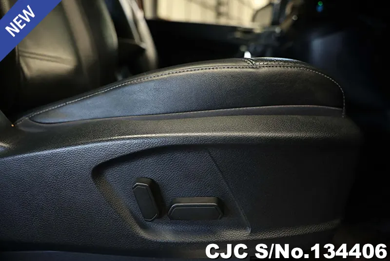 2019 Ford / Everest Stock No. 134406